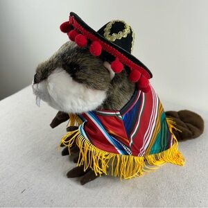 Cinco de Mayo Costume with Sombrero for Small Dog